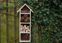 DIY: Πώς να κατασκευάσετε ένα ξενοδοχείο για έντομα (Φώτος & Βίντεο)