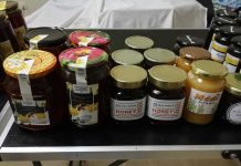 Μελισσοκόμοι προσφέρουν μέλι για ΚΑΛΟ ΣΚΟΠΟ