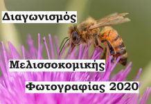 Διαγωνισμός Μελισσοκομικής Φωτογραφίας 2020 για Μελισσοκόμους!
