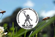 Ερωτηματολόγιο για τις απώλειες των μελισσών 2019-2020