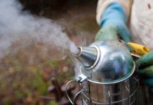 Λήψη προληπτικών μέτρων προστασίας κατά το κάπνισμα μελισσών