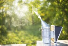 Οδηγίες κατα την άσκηση της Μελισσοκομίας για την αποφυγή πρόκλησης δασικών πυρκαγιών