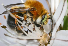 Βάζουν τα θεμέλια της ζωής