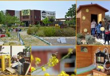 Ημέρα Αστικής Μελισσοκομίας, Μελισσοτουρισμού & Μελισσοθεραπείας (26/7/20)