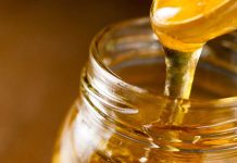 Πτολεμαΐδα: 3η Γιορτή Μελιού από τον Μελισσοκομικό Σύλλογο Κοζάνης (27/09/2020)