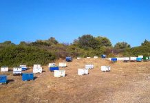 Δήλωση διαχείμασης μελισσών εως 31/12/2020