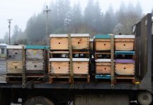 Απαγόρευση κυκλοφορίας και μετακινήσεις μελισσοκόμων