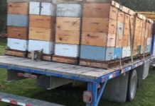 Σχετικά με μετακινήσεις μελισσοκόμων