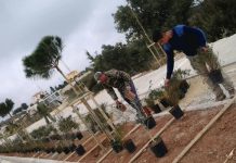 Κύπρος: Έφτιαξαν ξενοδοχεία μελισσών και φύτευσαν 100 χιλιάδες μελισσοκομικά φυτά