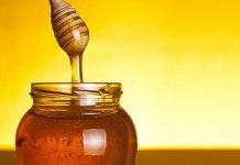 Ανακοινώθηκαν από τον ΕΦΕΤ οι νέες απαιτήσεις εγκαταστάσεων μελιού και τι θα ελέγχεται κατά την παρουσία τους