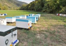 Δήλωση Κατεχόμενων κυψελών για το έτος 2022-2023