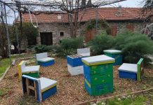 Κύπρος: Ένα ιδιαίτερο μουσείο στον Κάτω Δρυ φορτωμένο ιστορία