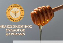 Σεμινάριο Μελισσοκομίας στα Φάρσαλα
