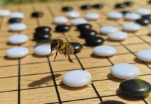 Ο εγκέφαλος της μέλισσας οδηγός για την εξέλιξη της τεχνητής νοημοσύνης