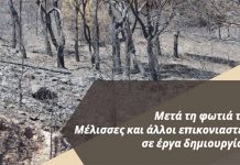 Ημερίδα:”Μετά τη φωτιά τί; Μέλισσες και άλλοι επικονιαστές σε έργα δημιουργίας” – Μυτιλήνη, 21 Μαρτίου 2024