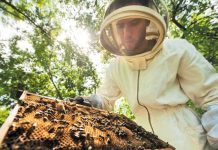 « Πρόγραμμα 3ημερης κατάρτισης Μελισσοκομίας » από τον ΕΛΓΟ-ΔΗΜΗΤΡΑ 01/01