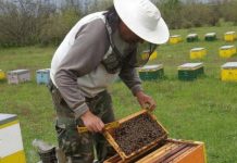 Ταχύρρυθμο εκπαιδευτικό τριήμερο στην Καλαμάτα (25-27/7/24)