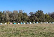 Δήλωση κατεχόμενων κυψελών για το έτος 2014