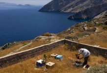 Το μέλι των Κυκλάδων κινδυνεύει με εξαφάνιση;