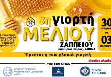 8η Γιορτή Μελιού στο Ζάππειο – Η πιο γλυκιά εμπειρία της Αθήνας!