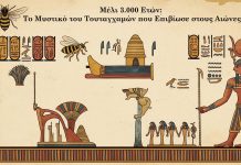 Το Αιώνιο Μέλι της Αρχαίας Αιγύπτου: Ένα Φυσικό Θαύμα Διατήρησης