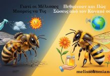 Γιατί οι Μέλισσες Πεθαίνουν και Πώς Μπορείς να Τις Σώσεις από τον Καναπέ σου