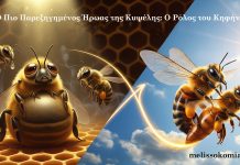 Ο Πιο Παρεξηγημένος Ήρωας της Κυψέλης: Ο Ρόλος του Κηφήνα