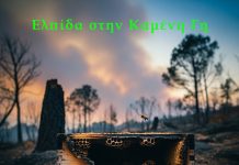 Όταν Καίγεται το Δάσος, Σιωπούν οι Κυψέλες