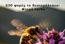 Πώς Πετάει η Μέλισσα με 230 Χτυπήματα Φτερών το Δευτερόλεπτο