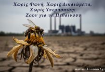 Χωρίς Φωνή, Χωρίς Δικαιώματα: Η Σκληρή Αλήθεια πίσω από τη Μέλισσα Εργάτρια