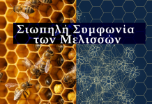 Συνεργασία Χωρίς Ιεραρχία: Το Μοντέλο των Μελισσών