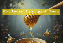 Το Μέλι: Μια Γλυκιά Σχέση με τη Φύση