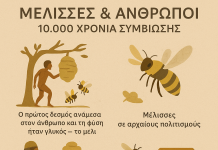 Μέλισσες και Άνθρωποι: Μια Αρχαία Σχέση που Διαμορφώνει Κοινωνίες