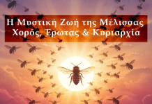 Η Μυστική Ζωή της Μέλισσας: Πώς Επικοινωνεί, Ερωτεύεται και Κυβερνά