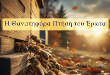 Στο Βασίλειο των Μελισσών, η Αγάπη Είναι Επικίνδυνη… για τους Κηφήνες!