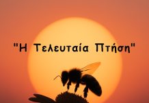 Η Ζωή μιας Μέλισσας από το Αυγό μέχρι την Τελευταία Πτήση