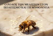 Ο Ρόλος των Μελισσών στον Πολιτισμό και τη Μυθολογία