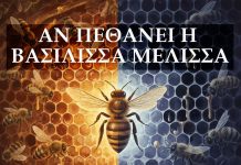 Αν Πέθανει η Βασίλισσα Μέλισσα – Τι Συμβαίνει στην Κυψέλη;