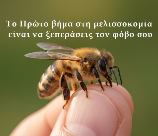 Το Πρώτο βήμα στη μελισσοκομία είναι να ξεπεράσεις τον φόβο σου