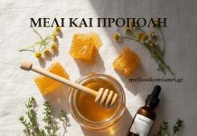Μέλι και Πρόπολη: Φυσικά Αντιμικροβιακά με Επιστημονική Βάση