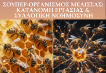 Σούπερ-Οργανισμός: Γιατί η Κυψέλη Λειτουργεί σαν Ένας Εγκέφαλος