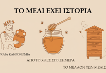 Το Μέλι Έχει Γεύση, Αλλά και Ιστορία – Μην την Καταστρέφεις