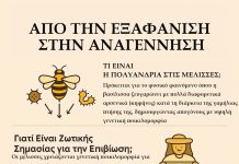 Από την Εξαφάνιση στην Αναγέννηση
