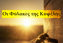 Οι Φύλακες της Κυψέλης