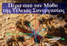 Η Συλλογική Ευφυΐα των Μελισσών: Πέρα από τον Μύθο της Τέλειας Συνεργασίας