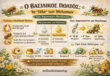 Οι Μέλισσες Έχουν ‘Γάλα’ όπως τα Θηλαστικά! Το Βασιλικό Πολτό