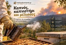Καπνός, καπνιστήρι και μέλισσες: Τι πρέπει να γνωρίζει ο μελισσοκόμος