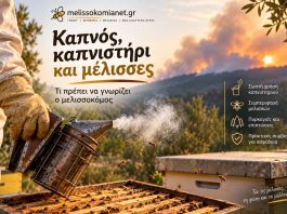 Καπνός, καπνιστήρι και μέλισσες: Τι πρέπει να γνωρίζει ο μελισσοκόμος