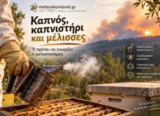 Καπνός, καπνιστήρι και μέλισσες: Τι πρέπει να γνωρίζει ο μελισσοκόμος