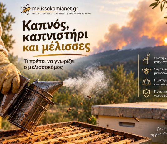 Καπνός, καπνιστήρι και μέλισσες: Τι πρέπει να γνωρίζει ο μελισσοκόμος